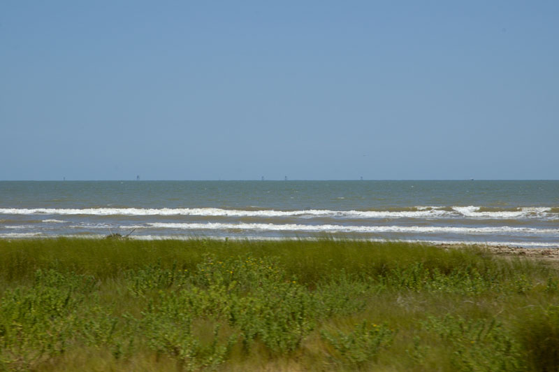 _DSC0566